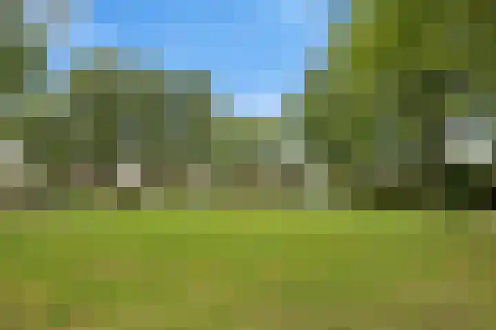 Leemvaert 1 Kaatsheuvel thumbnail 43