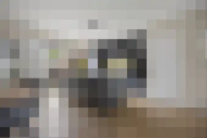 Leemvaert 1 Kaatsheuvel thumbnail 9