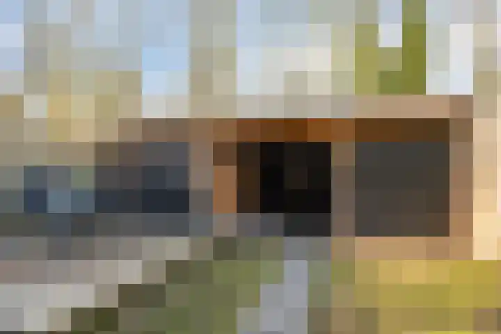 Leemveld 100 Assen thumbnail 21