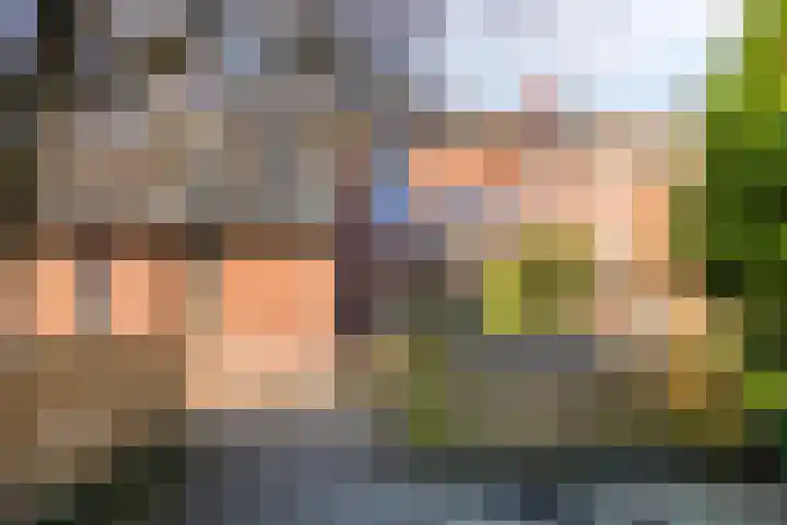 Leemveld 100 Assen thumbnail 41