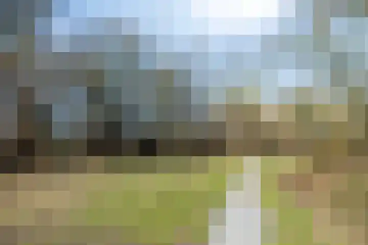 Leemveld 100 Assen thumbnail 42