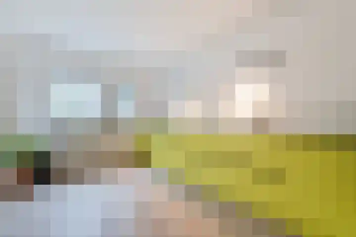 Leemveld 134 Assen thumbnail 11