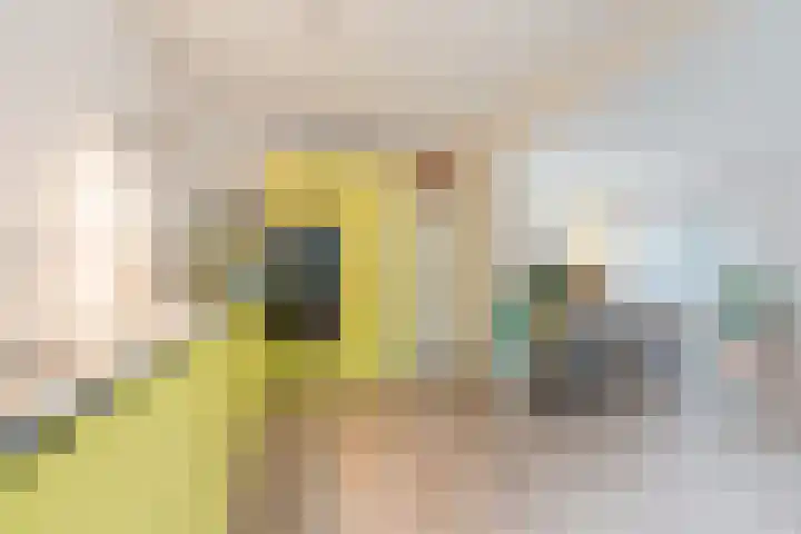 Leemveld 134 Assen thumbnail 13