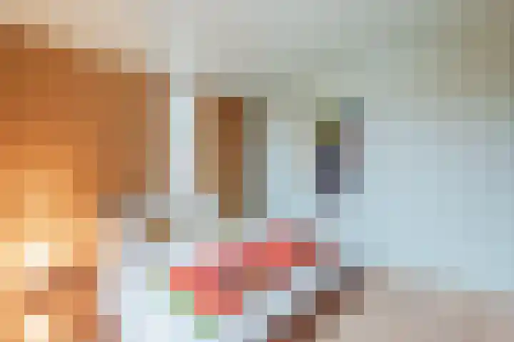 Leemveld 134 Assen thumbnail 17