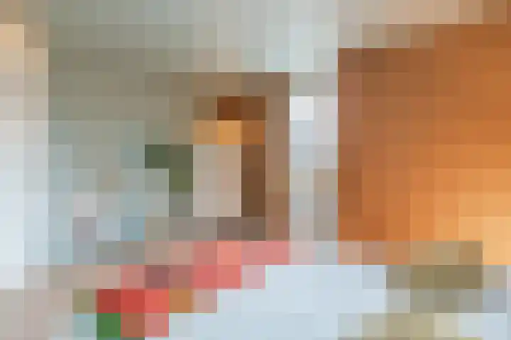 Leemveld 134 Assen thumbnail 18