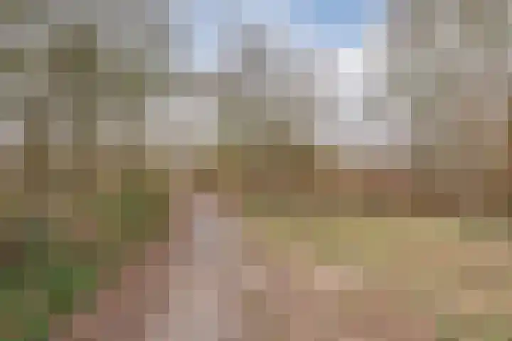 Leemveld 134 Assen thumbnail 37