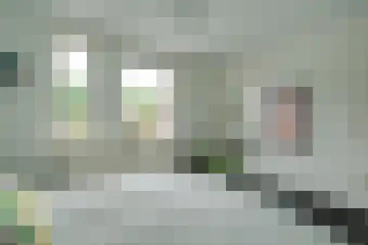 Leemveld 150 Assen thumbnail 14