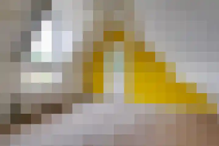 Leemveld 150 Assen thumbnail 25