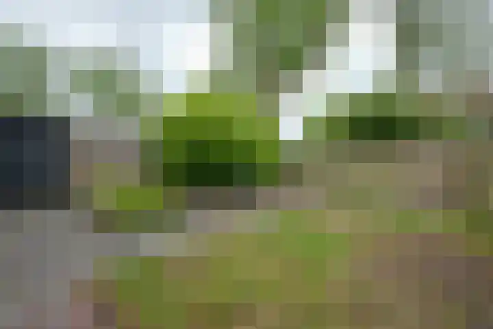 Leemveld 150 Assen thumbnail 29