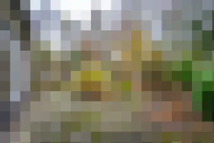 Leemveld 24 Assen thumbnail 26