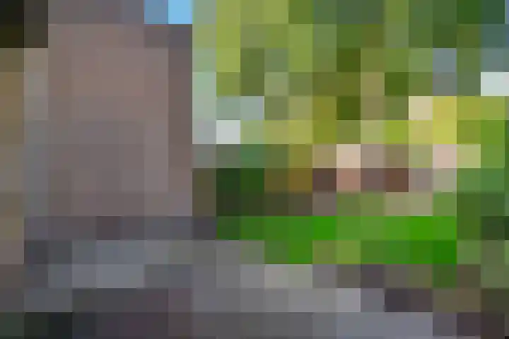 Leemveld 36 Assen thumbnail 16