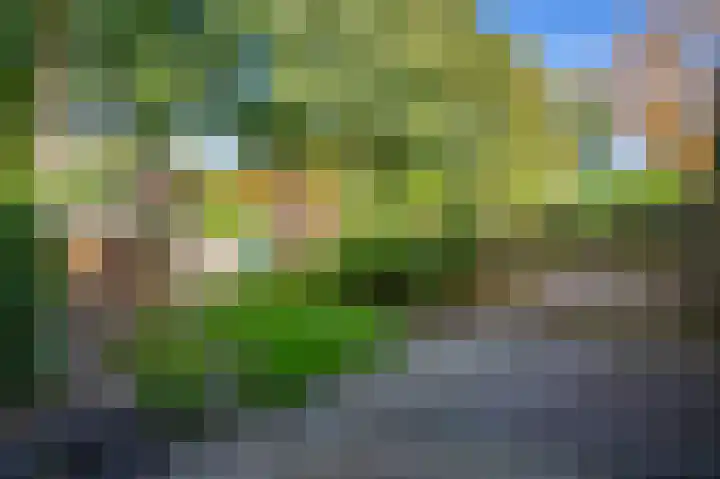 Leemveld 36 Assen thumbnail 17