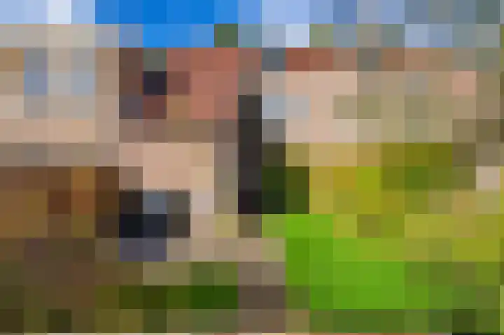 Leemveld 36 Assen thumbnail 35