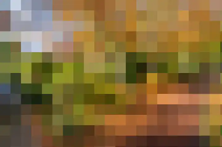 Leemveld 36 Assen thumbnail 37