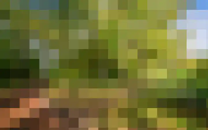 Leemveld 36 Assen thumbnail 39