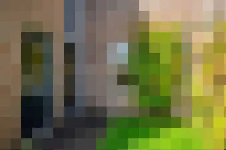 Leemveld 36 Assen thumbnail 4