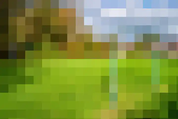 Leemveld 36 Assen thumbnail 43