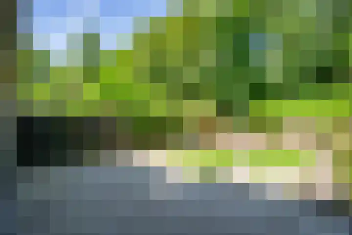 Leemveld 62 Assen thumbnail 17