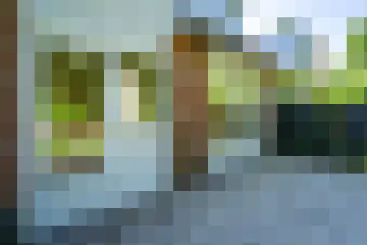 Leemveld 62 Assen thumbnail 19
