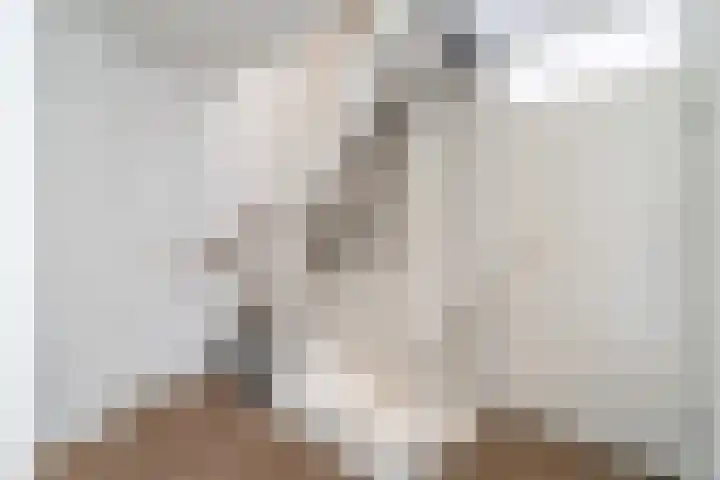 Leemveld 62 Assen thumbnail 30