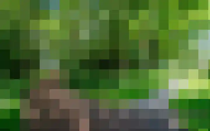 Leemveld 62 Assen thumbnail 38