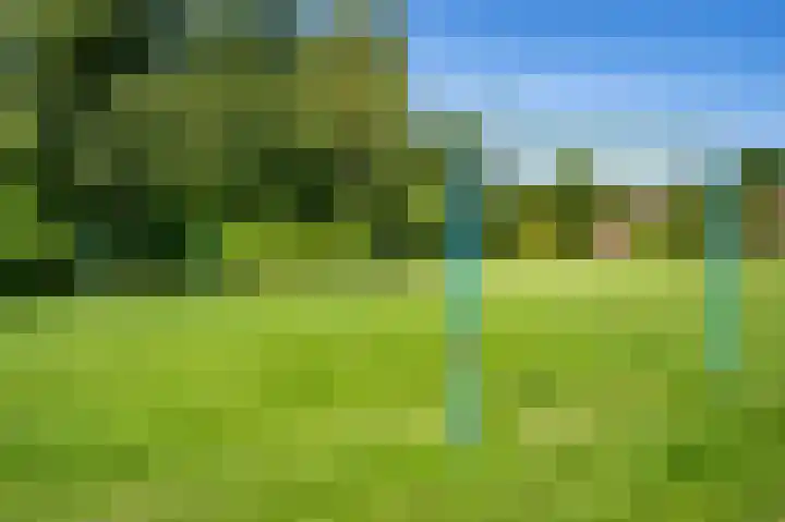 Leemveld 62 Assen thumbnail 39