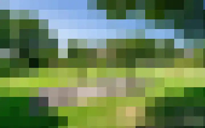 Leemveld 62 Assen thumbnail 41