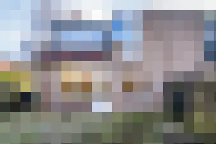 Leemveld 76 Assen thumbnail 13