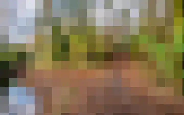 Leemveld 76 Assen thumbnail 34