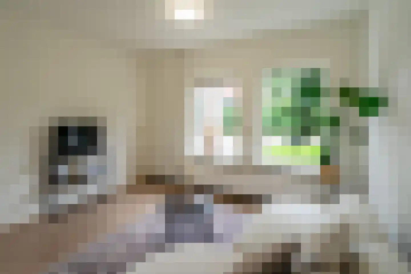 Leemveld 82 Assen thumbnail 19