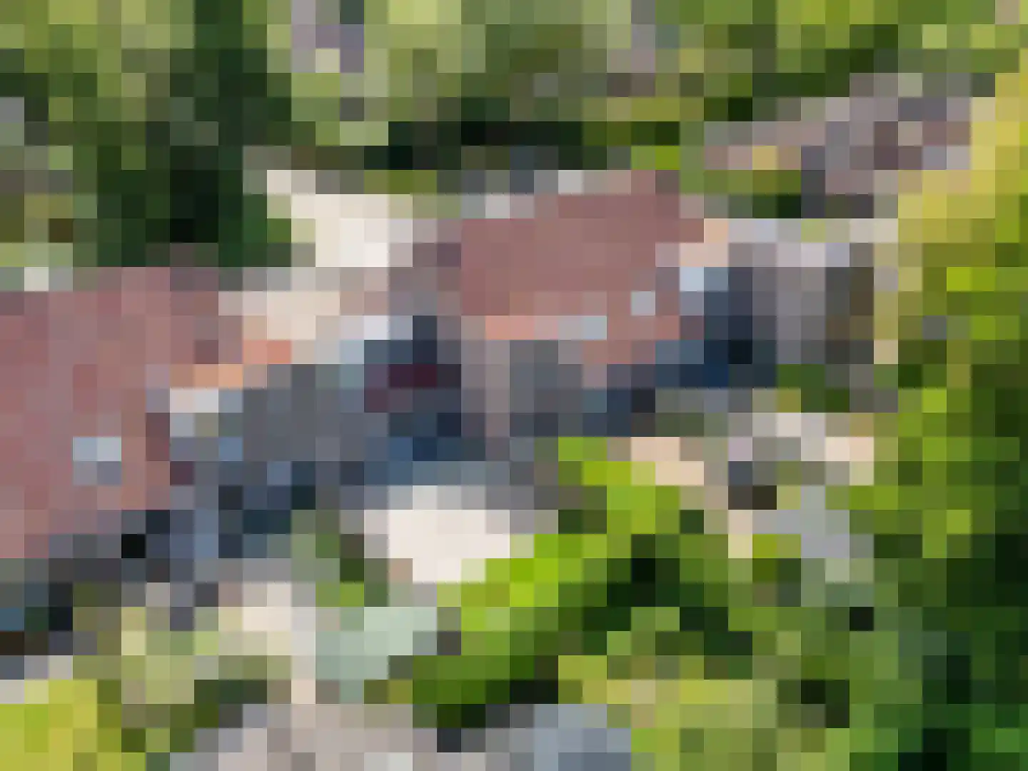 Leemveld 82 Assen thumbnail 38