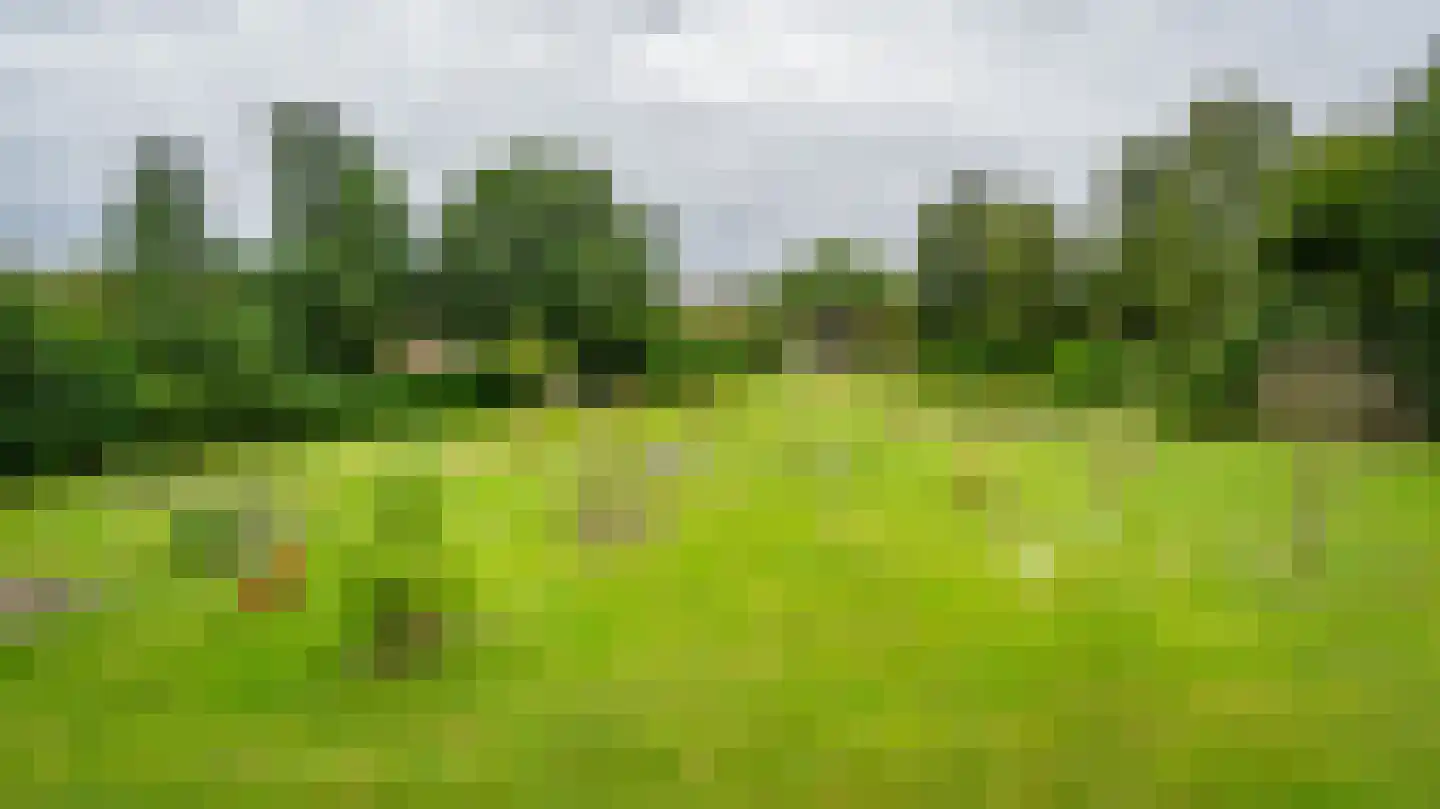 Leemveld 82 Assen thumbnail 39