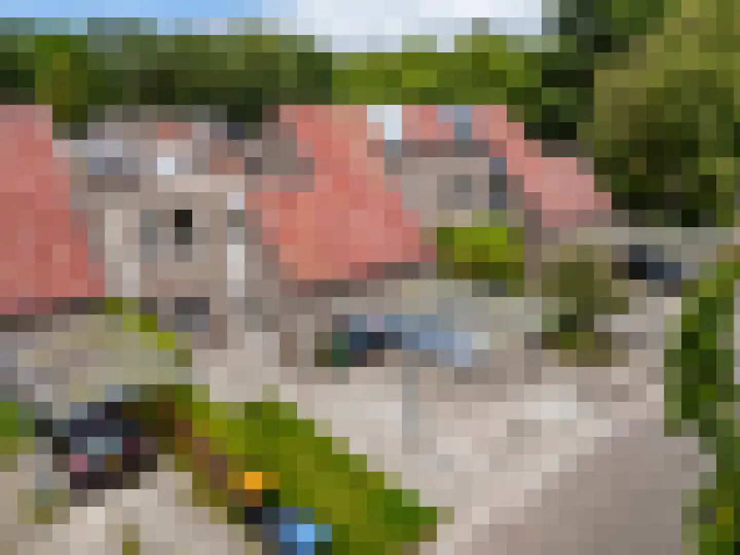 Leemveld 82 Assen thumbnail 4