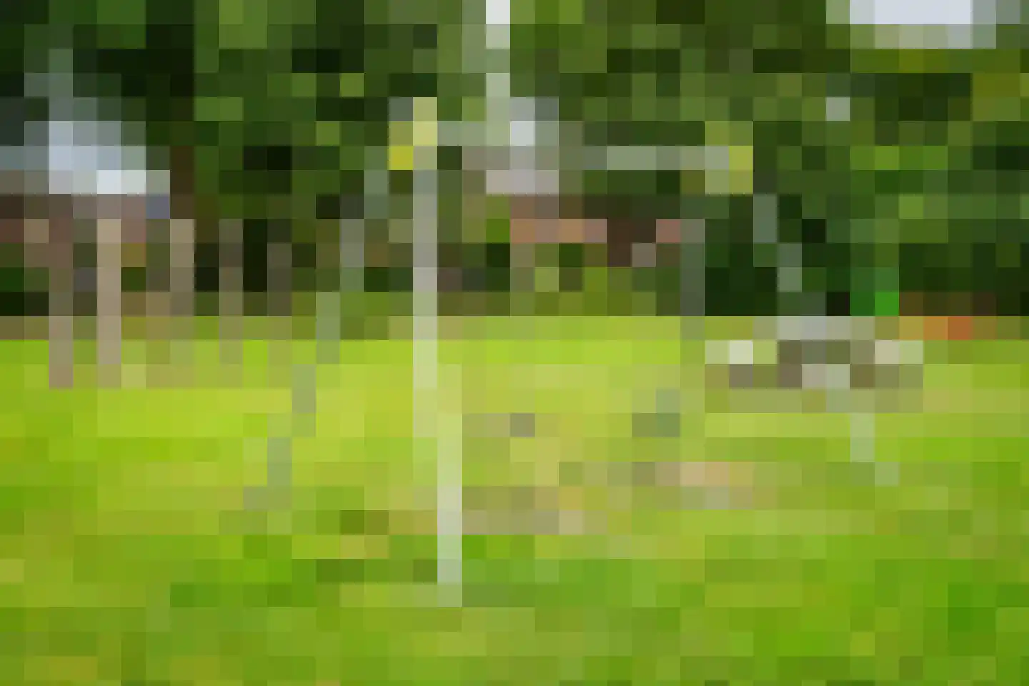 Leemveld 82 Assen thumbnail 41