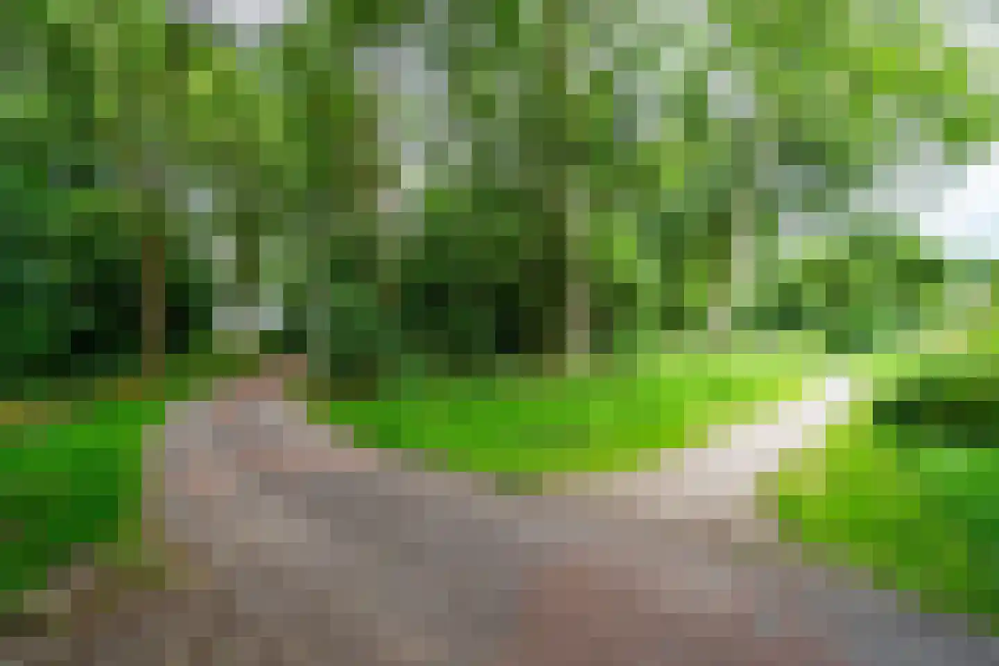 Leemveld 82 Assen thumbnail 42