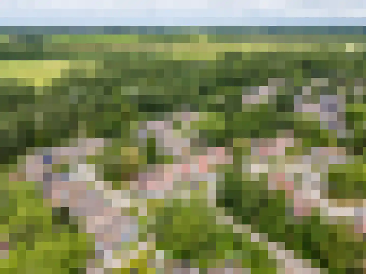 Leemveld 82 Assen thumbnail 5
