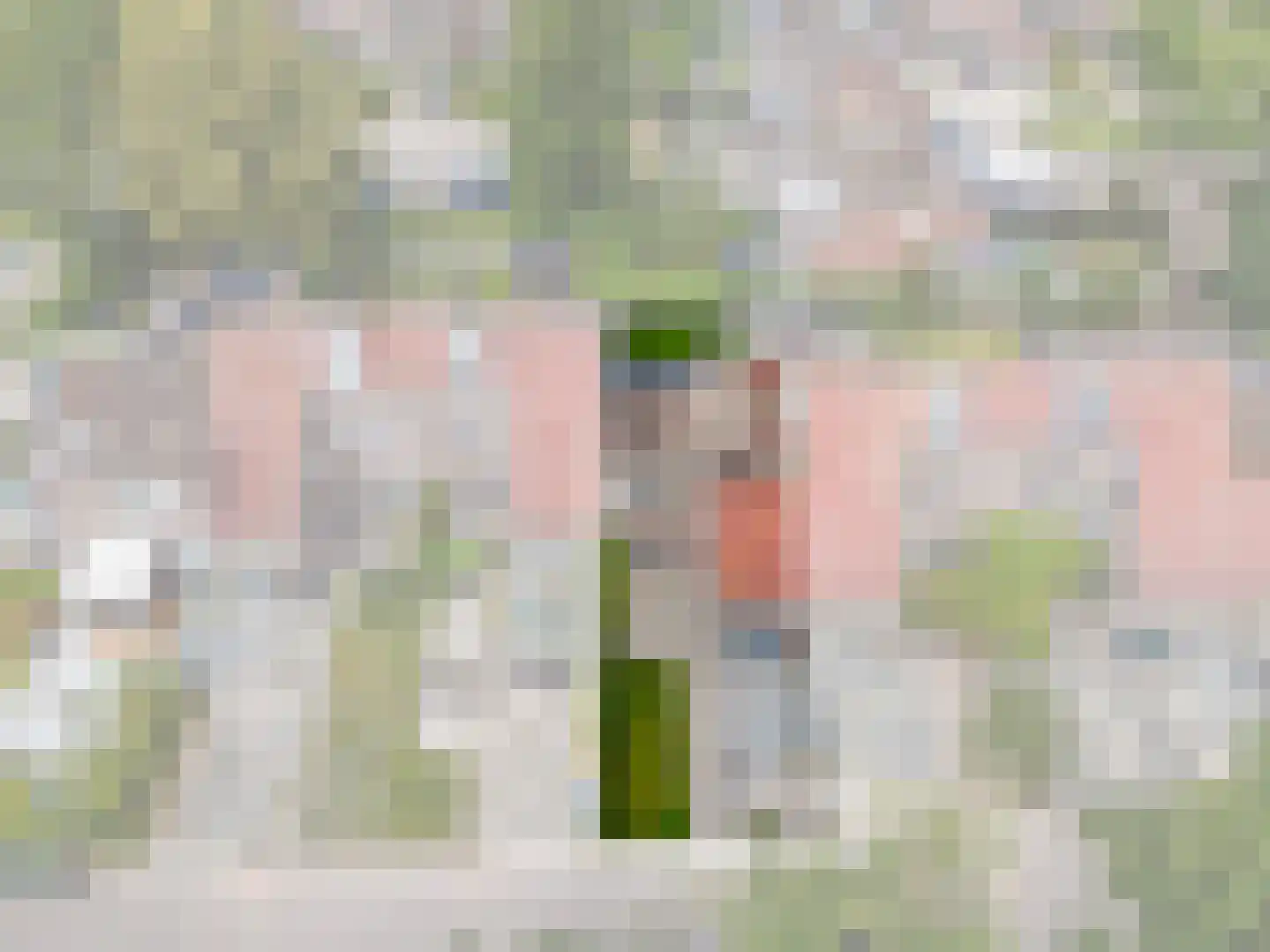 Leemveld 82 Assen thumbnail 6