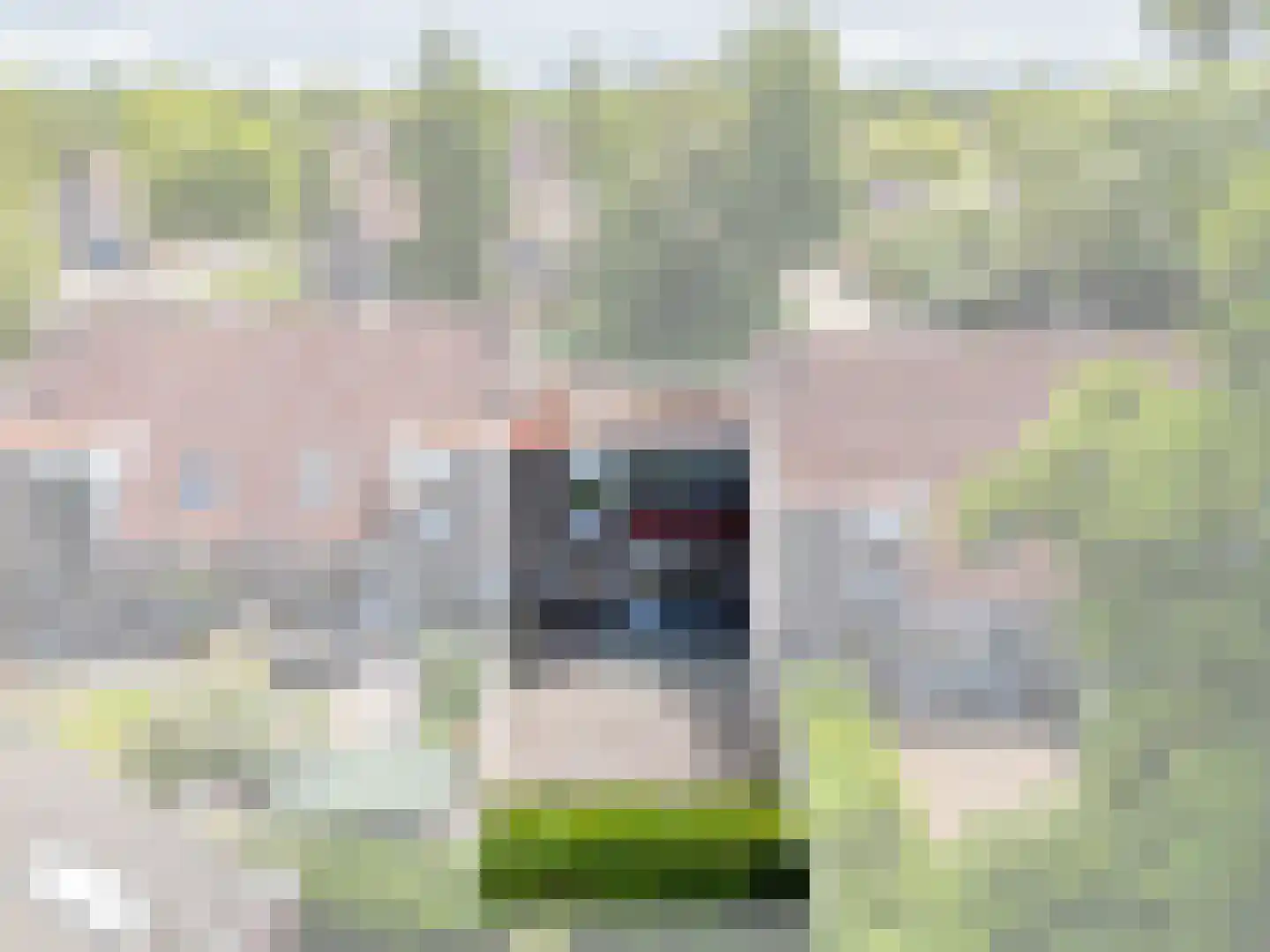 Leemveld 82 Assen thumbnail 7
