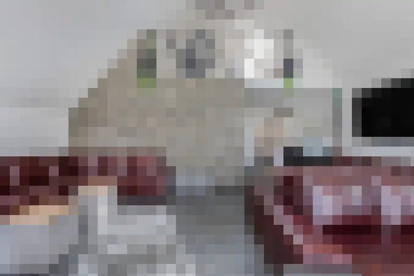 Leemweg 1 Steggerda thumbnail 10