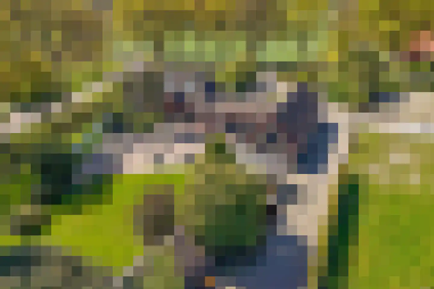 Leemweg 1 Steggerda thumbnail 33