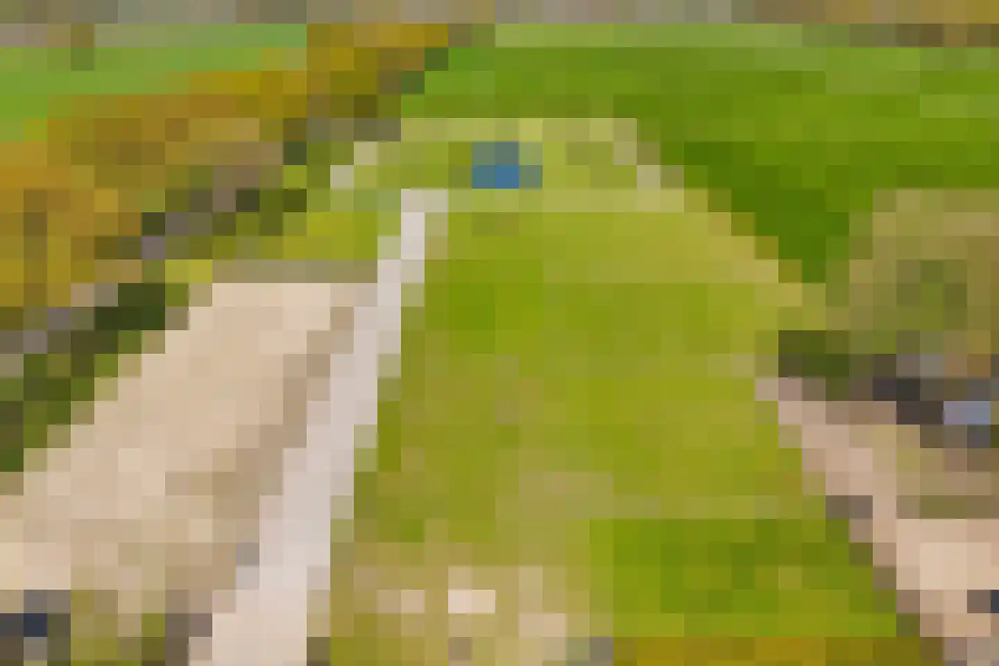 Leemweg 1 Steggerda thumbnail 43