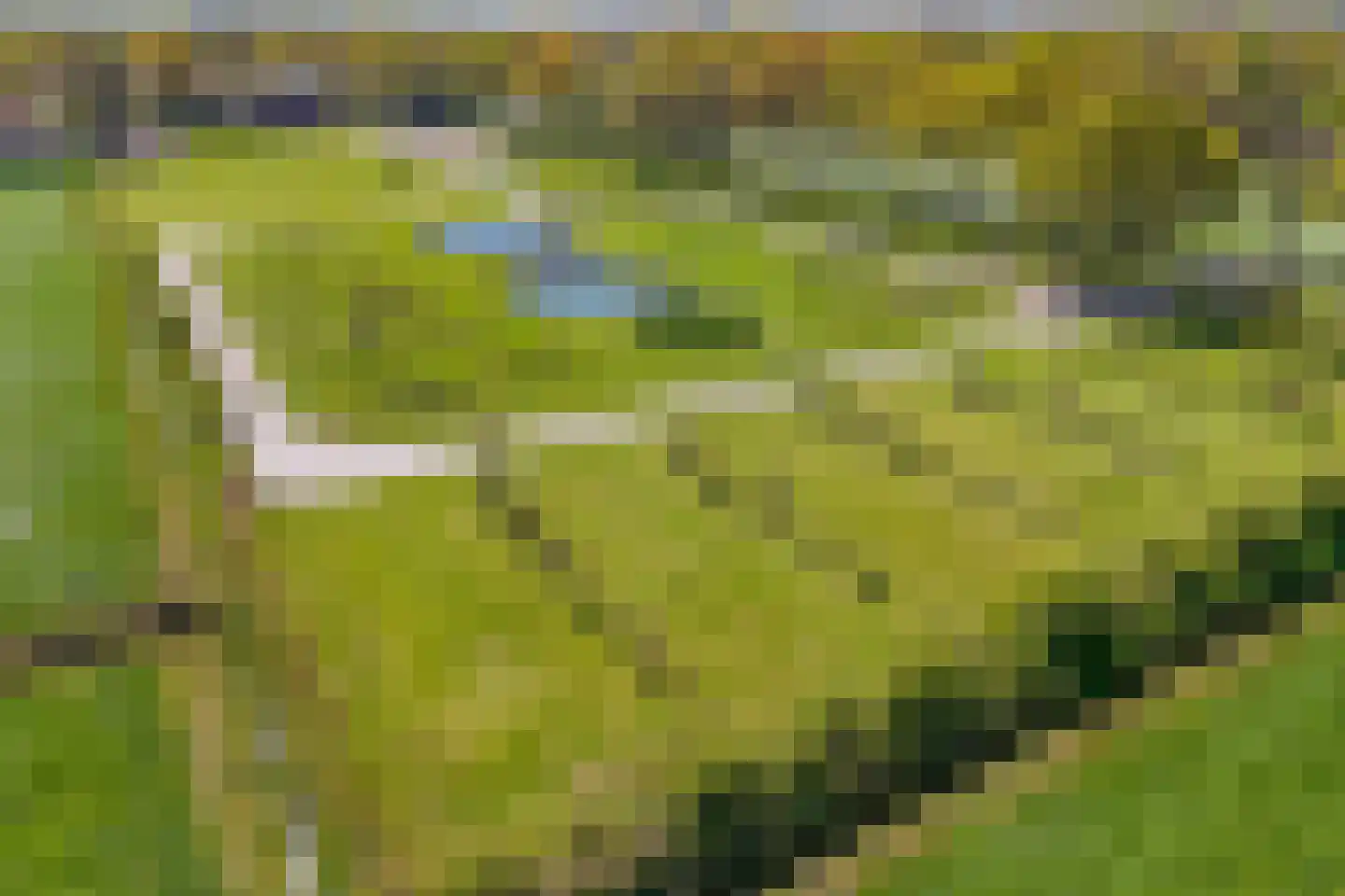 Leemweg 1 Steggerda thumbnail 45