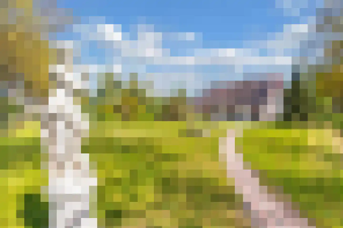 Leemweg 1 Steggerda thumbnail 48
