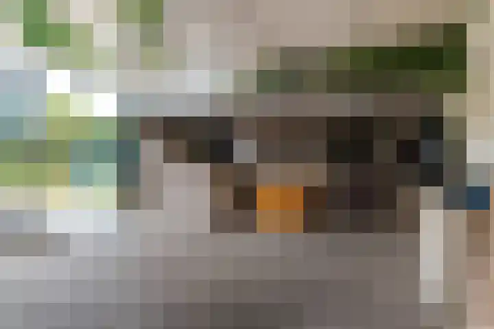 Leemweg 1 Steggerda thumbnail 49