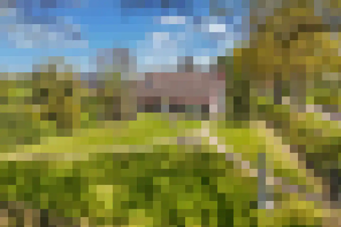 Leemweg 1 Steggerda thumbnail 50