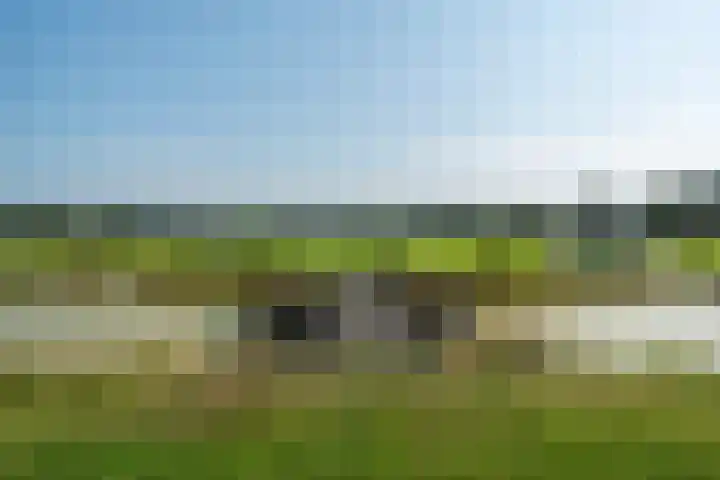 Leemweg 1 Steggerda thumbnail 52