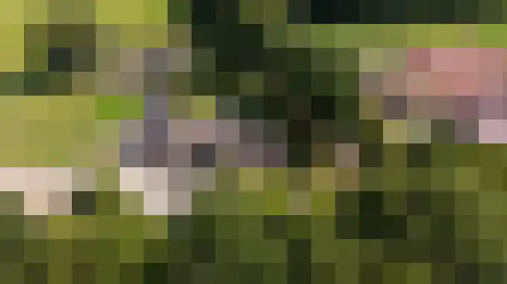 Leemweg 1 Steggerda thumbnail 59