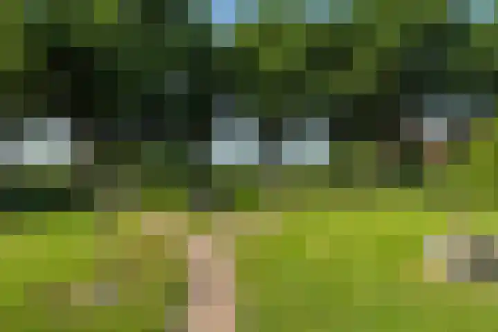 Leemweg 1 Steggerda thumbnail 7