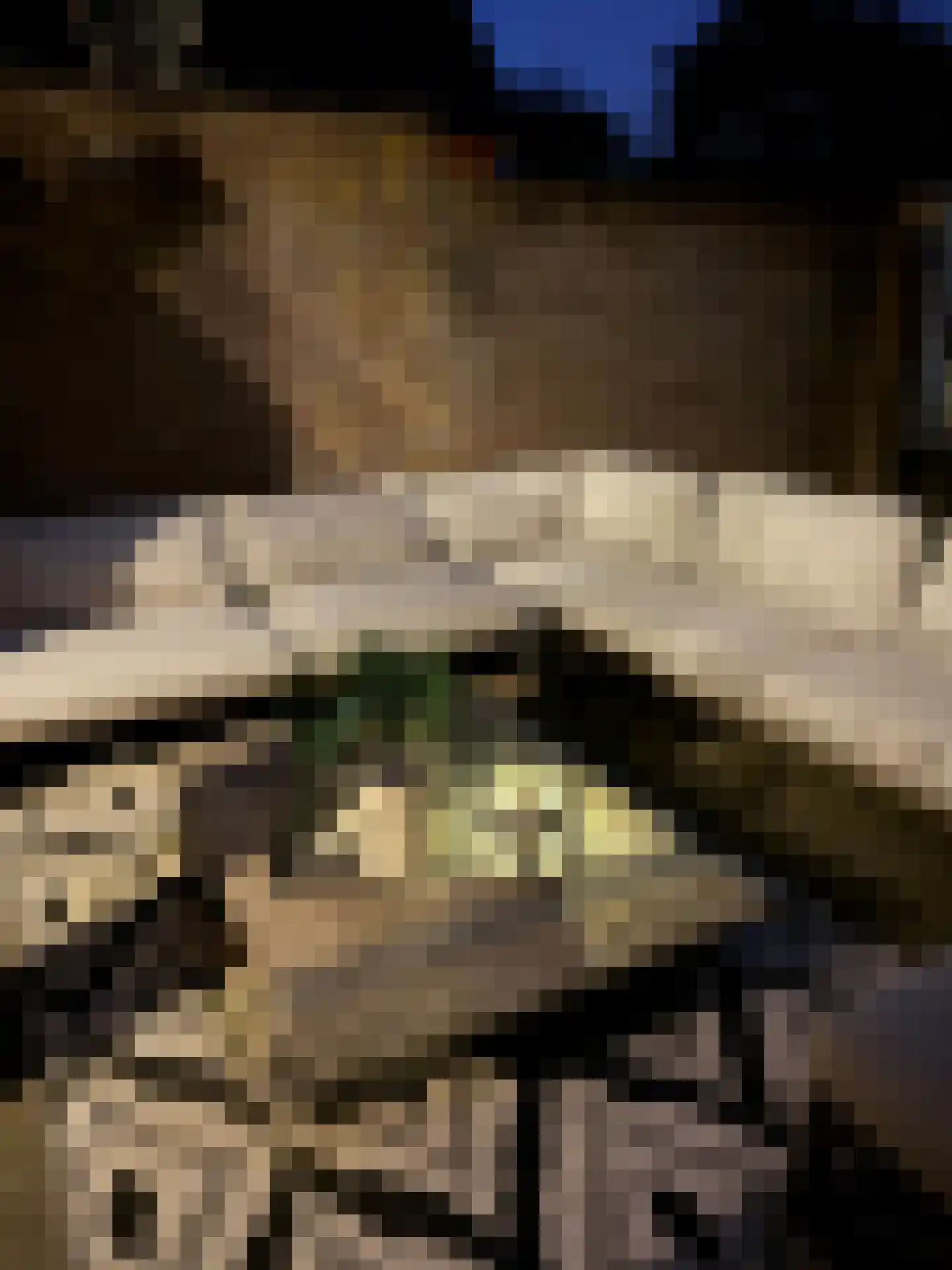 Leemweg 107 Wijchen thumbnail 54