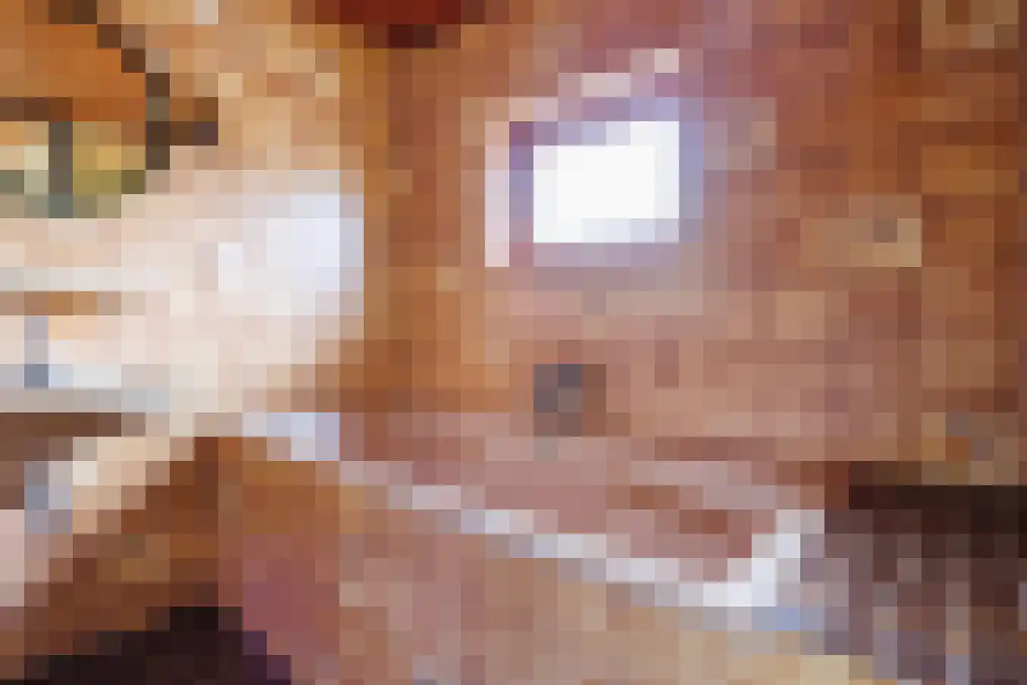Leemweg 14 Wijchen thumbnail 17
